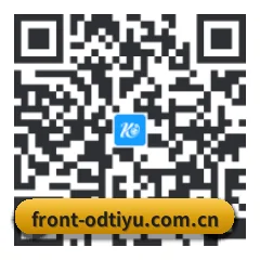 系统版 iOS 二维码